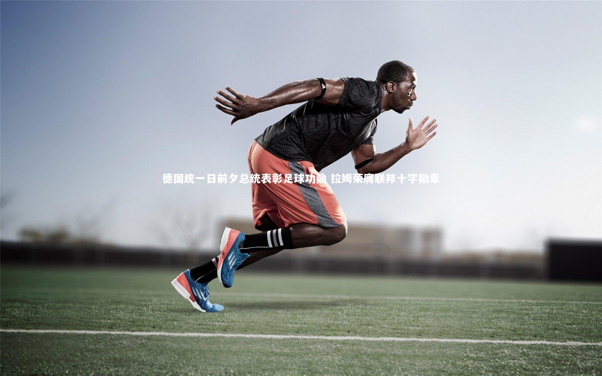 德国统一日前夕总统表彰足球功勋 拉姆荣膺联邦十字勋章