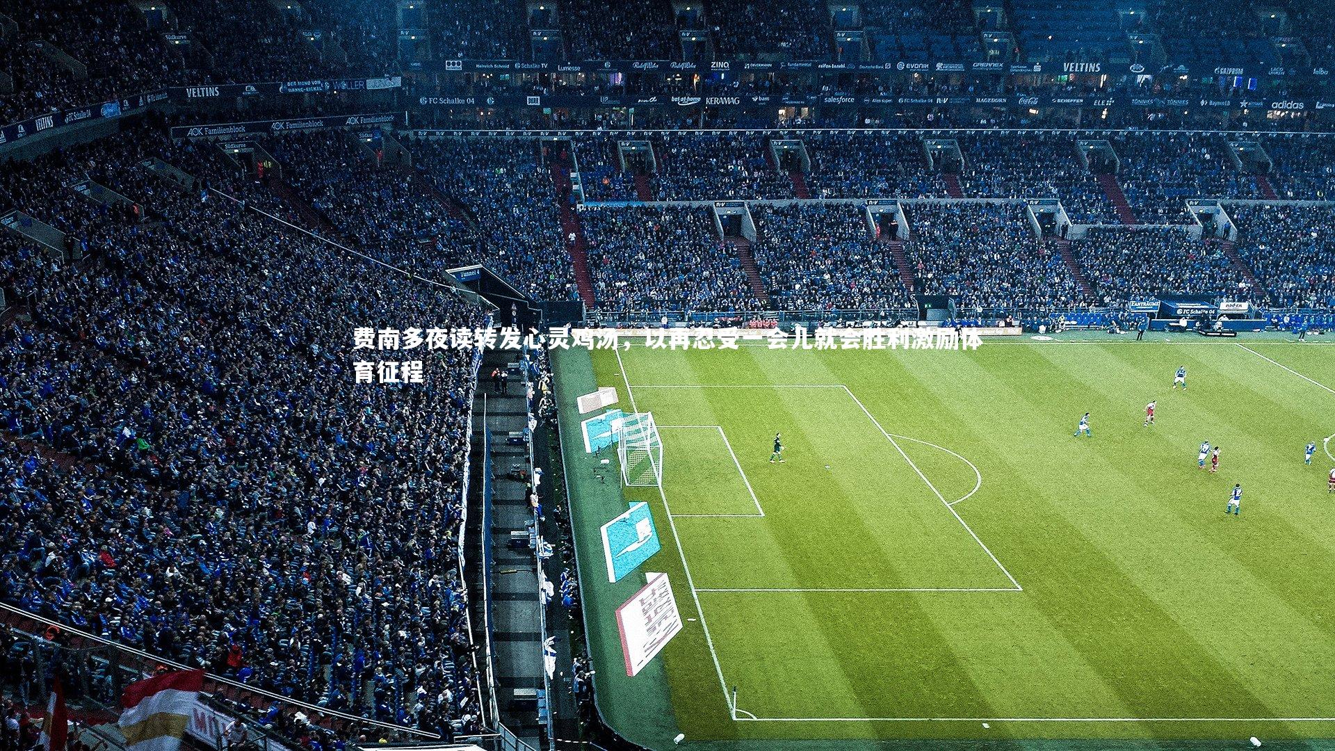 费南多夜读转发心灵鸡汤，以再忍受一会儿就会胜利激励体育征程