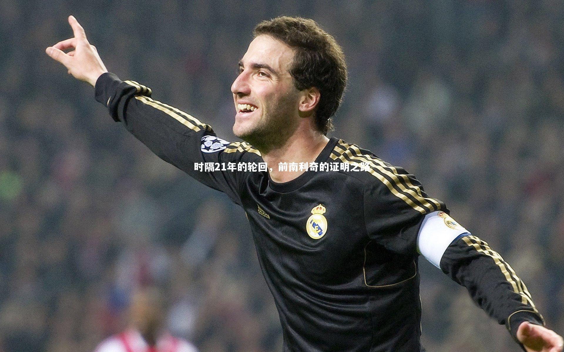 时隔21年的轮回，前南利奇的证明之路